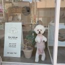 위드스테이부산 이미지