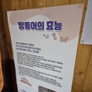 강릉엄지네 꼬막집 양재점 네이버블로그