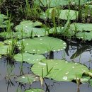 한길세탁소 이미지