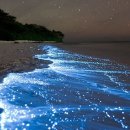 생각정리 글쓰기 이미지