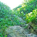 대금초등학교 이미지