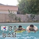능소담 키즈풀빌라 펜션 | 경주 신상 프라이빗 키즈 풀빌라 능소담 후기❤️