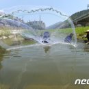 환경생태평가연구원 이미지
