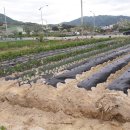 연수동사무소 이미지