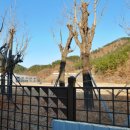 물맑은펜션 이미지