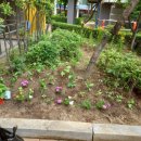 가로경로당 이미지