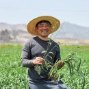 강진슈퍼 이미지