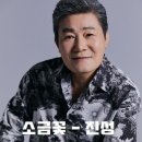 진성/소금꽃 이미지