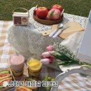 쨍하고해뜬날피크닉 네이버블로그