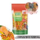 블루과일