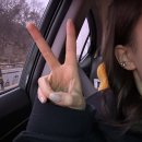 밍카센타 이미지