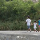 세남매 이미지