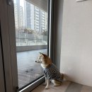 부산 남구 용호동 미용실 : 더바램헤어 2호점 : 두피케어