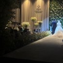 (주)엘앤에스와이(L&SY) | 2025년 결혼 준비 D-6개월 l 수원 웨딩홀 추천 5곳 방문 솔직 리뷰 및 견적 알아보기