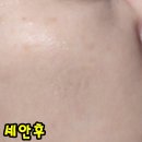 진자솝