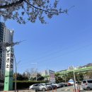 물금읍보건지소 | 양산시 보건소 선별진료소 코로나검사 후기(운영시간, 전자문진표 링크)