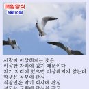 엄마찬스 이미지