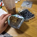 연주식당 | 생활기 Day1201-1207 / 독일교회음악과 바흐 마그니피캇 오라토리오 리허설, 준비과정, 지휘연주, 연주후기