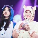 도다