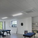 놀다올개 이미지