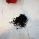 OUI hair(오유아이헤어) | [부산사직동미용실] 오유아이 헤어(oui hair)미용실 추천 여자 중단발 레이어드펌 후기