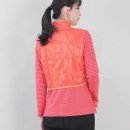 골프에비뉴 이미지