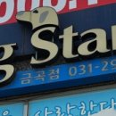 도그스타금곡점 - 수원시 권선구 서수원로 531 | 도그스타금곡점