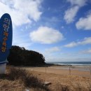 의항해수욕장 입구 이미지