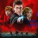 대상펫라이프(주) 이미지