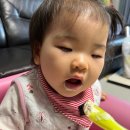팔도가맥 이미지