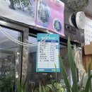 사우사거리 | 춘천꽃집 추천 💐 봄내화원 방문 후기 (춘천꽃배달, 사우사거리 꽃다발 강추)
