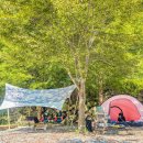 캠프더 포레 이미지