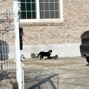 주문진시골주택 이미지