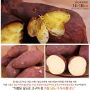 해남촌 이미지