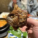 피지참치 이미지