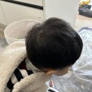 그린에스앤씨 | [입주준비] 내돈내산 세모화학 바이오실크코트 슈퍼볼 사파이어 탄성코트 시공후기/견적공유
