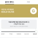 골드로즈약국 | 내돈내산 2025 올영세일 추천템 (투슬래시포 팔레트, 블러셔, 네이밍 블러셔, 라네즈 립세럼, 아벤느...