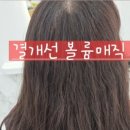 해르헤어