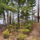 울진제일약국 이미지