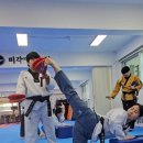 팀 포인트 태권도장 이미지