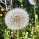 윤슬한옥 이미지