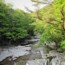 구천동1로 네이버블로그