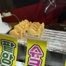 도토리창꼬