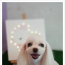 구암동428 이미지