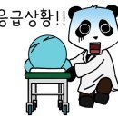 슈어스성형외과의원 네이버블로그