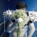 델비즈그룹 | 2024 코첼라 후기