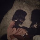 오자키 티스토리