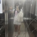 [대회 후기] 2024 제8회 청주시 배드민턴 지도자 협회 C급, 초심자대회 참가 후기