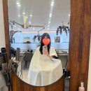 성윤 | 별내 별가람역 헤어컷 잘하는 곳 예움헤어 성윤 수석디자이너 후기