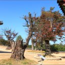 양양낙산사일원 이미지